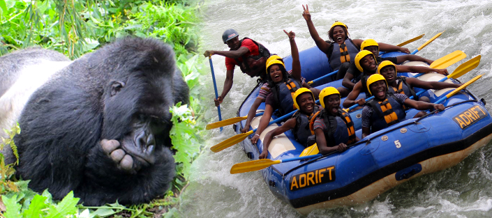 8 Days Gorillas and Rafting along the River Nile